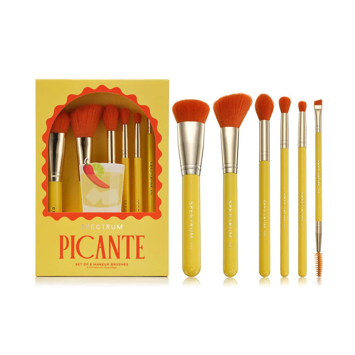 Picante 6 Piece Brush Set