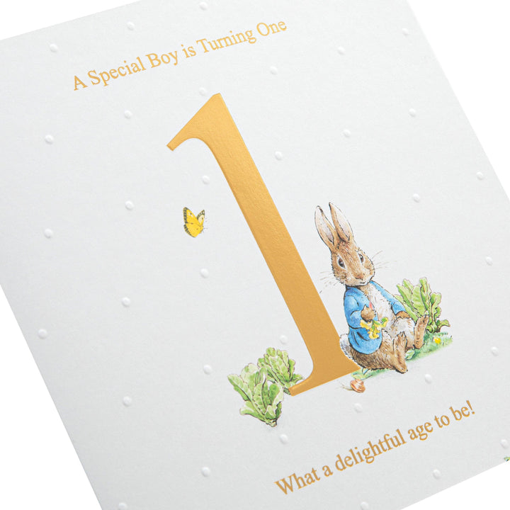 1st Birthday Card - Beatrix Potter's Peter Rabbit Design