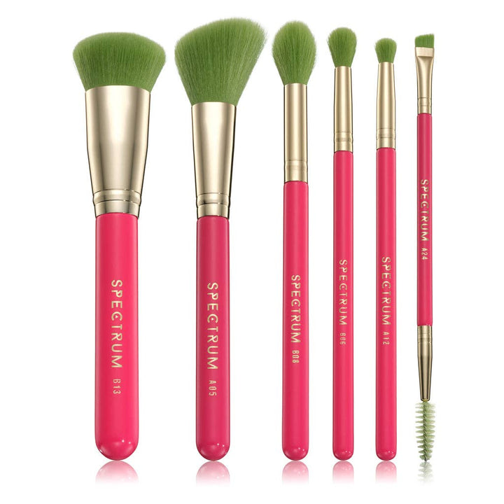 Cosmopolitan 6 Piece Brush Set