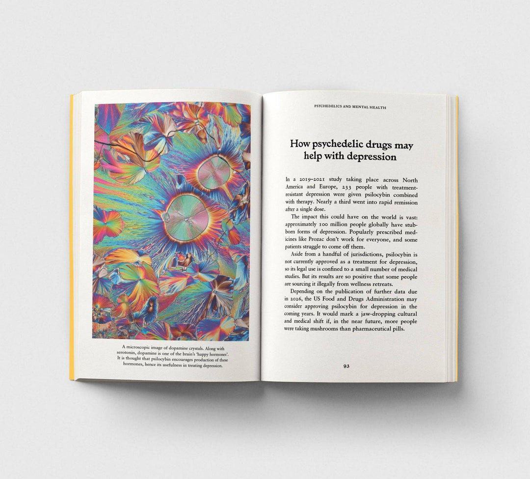 Psychedelics, A Pocket Primer