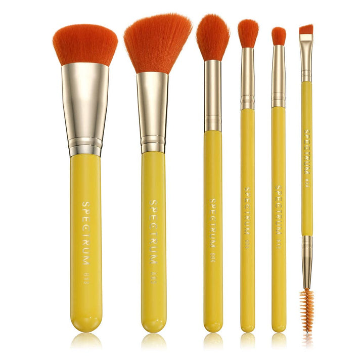 Picante 6 Piece Brush Set