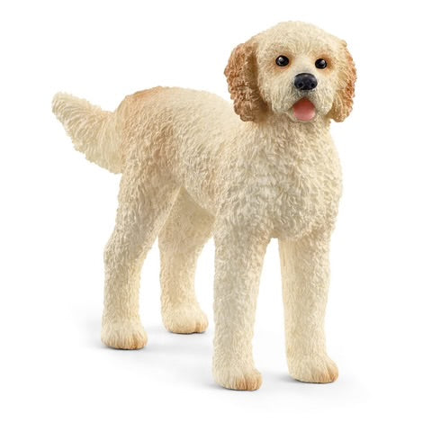 GOLDENDOODLE