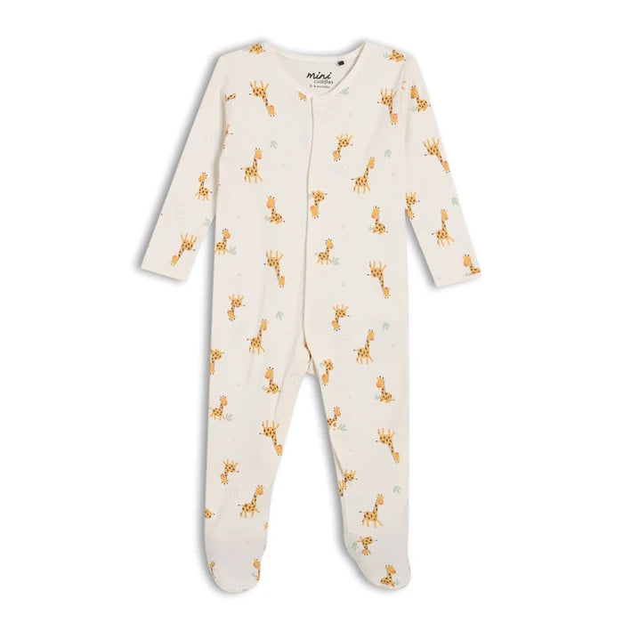 Unisex 6pk essentials gift set,multicolour