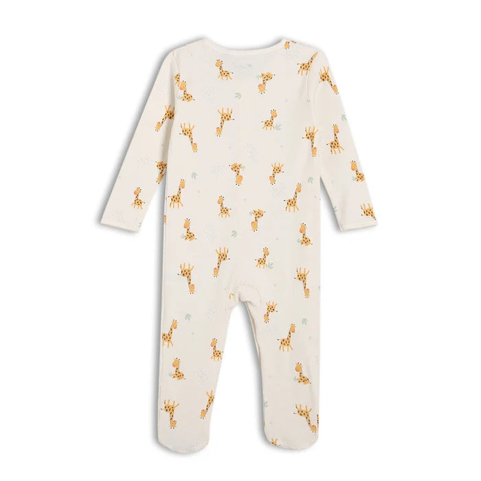 Unisex 6pk essentials gift set,multicolour