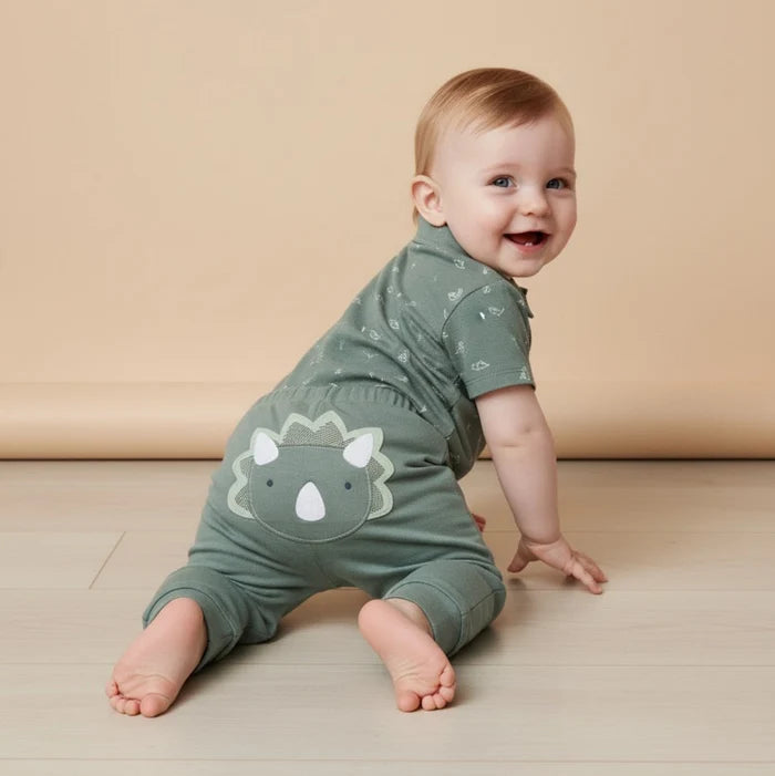 Baby Boys Joggers with Dinosaur Applique