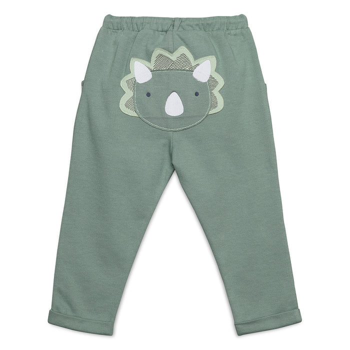 Baby Boys Joggers with Dinosaur Applique