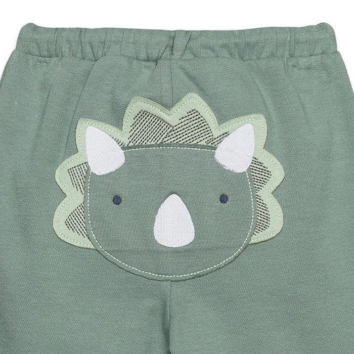 Baby Boys Joggers with Dinosaur Applique