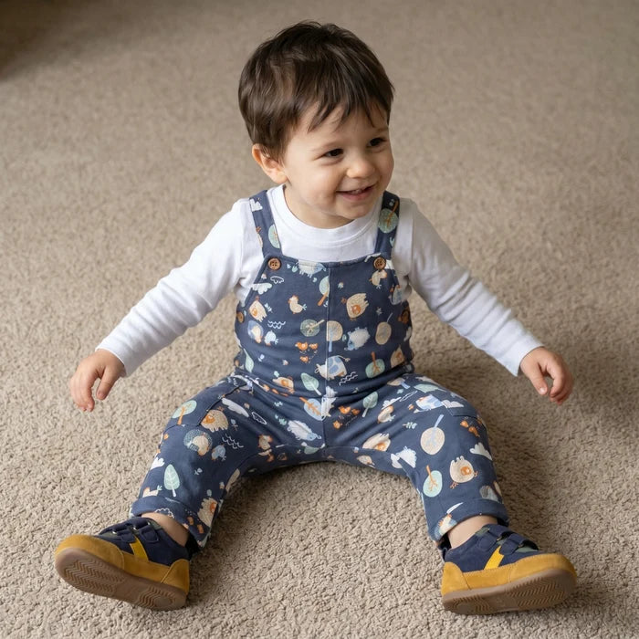 Baby boys animal printed dungaree set
