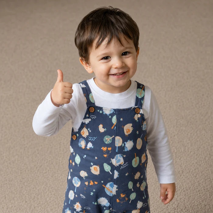 Baby boys animal printed dungaree set