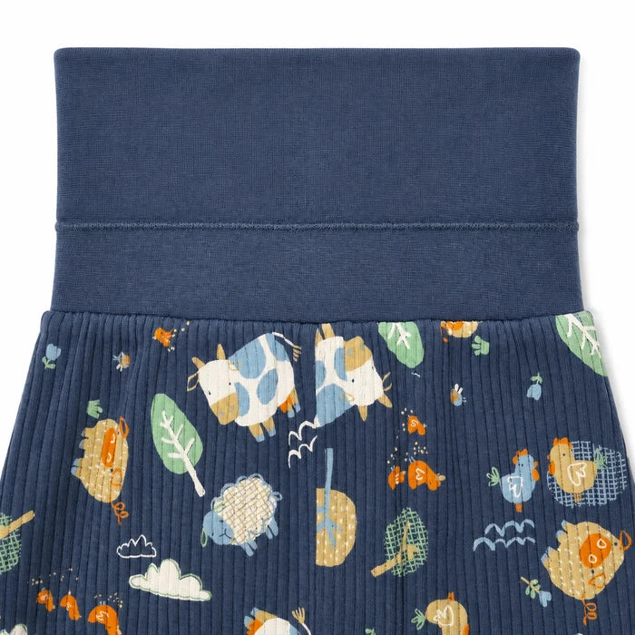Baby Boys Knit Bottom