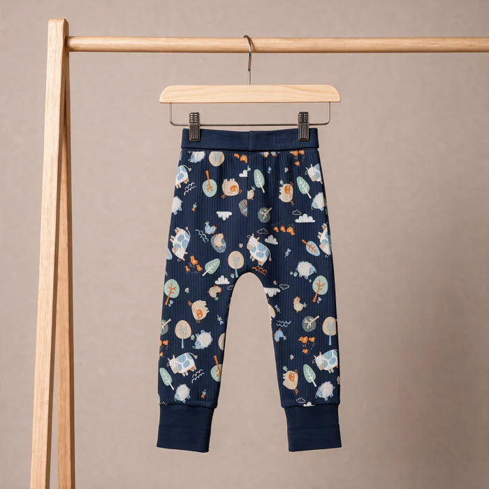 Baby Boys Knit Bottom