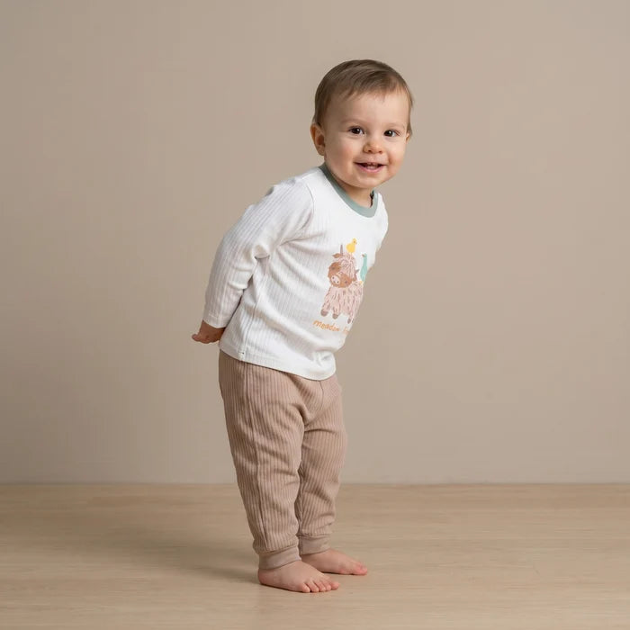 Baby Unisex animal Print & Striped pack of 3 t-shirts