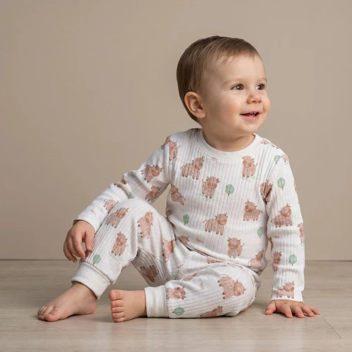Baby Unisex animal Print & Striped pack of 3 t-shirts
