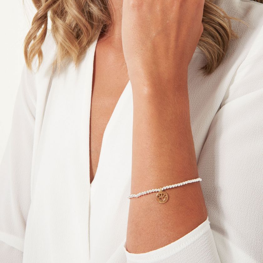 A LITTLE PAWFECT BRACELET