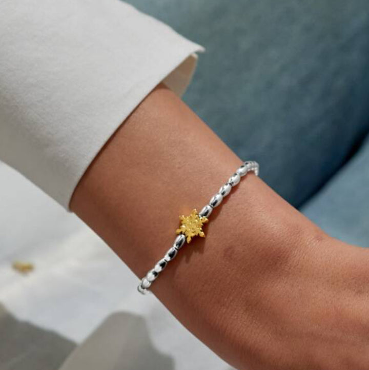 CHRISTMAS WISH WINTER WISHES SILVER & GOLD PLATED BRACELET