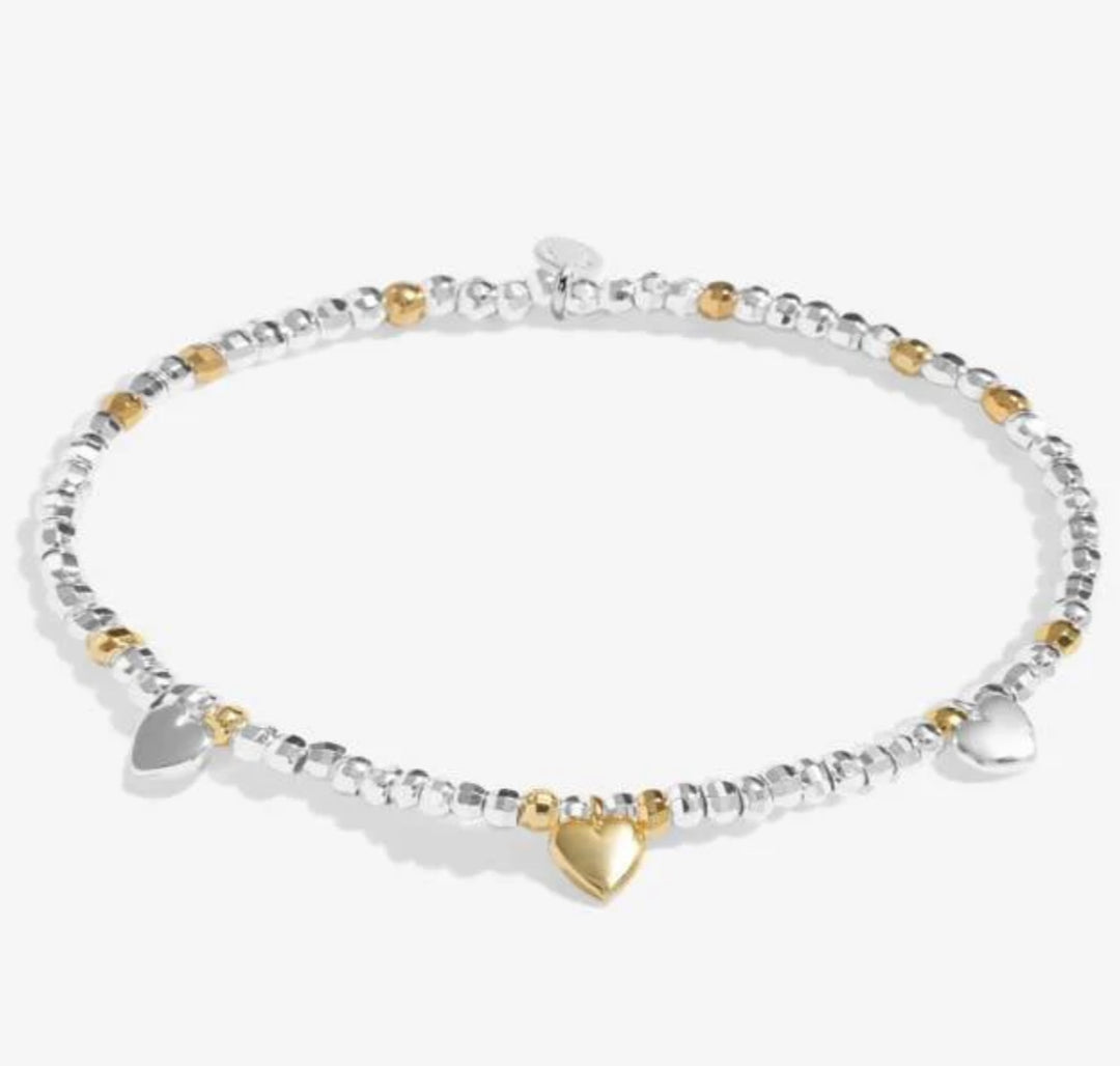SPARKLE CONFETTI A LITTLE FABULOUS FRIEND SILVER & GOLD PLATED BRACELET