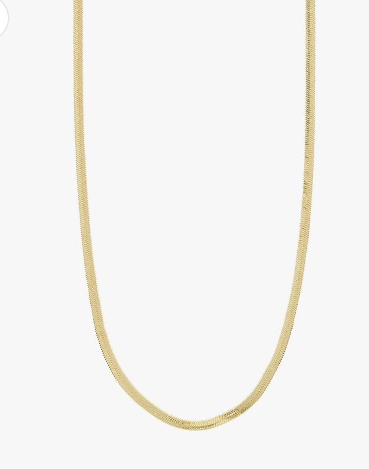 JOANNA RECYCLED GOLD PLATED FLAT SNAKE CHAIN NECKLACE