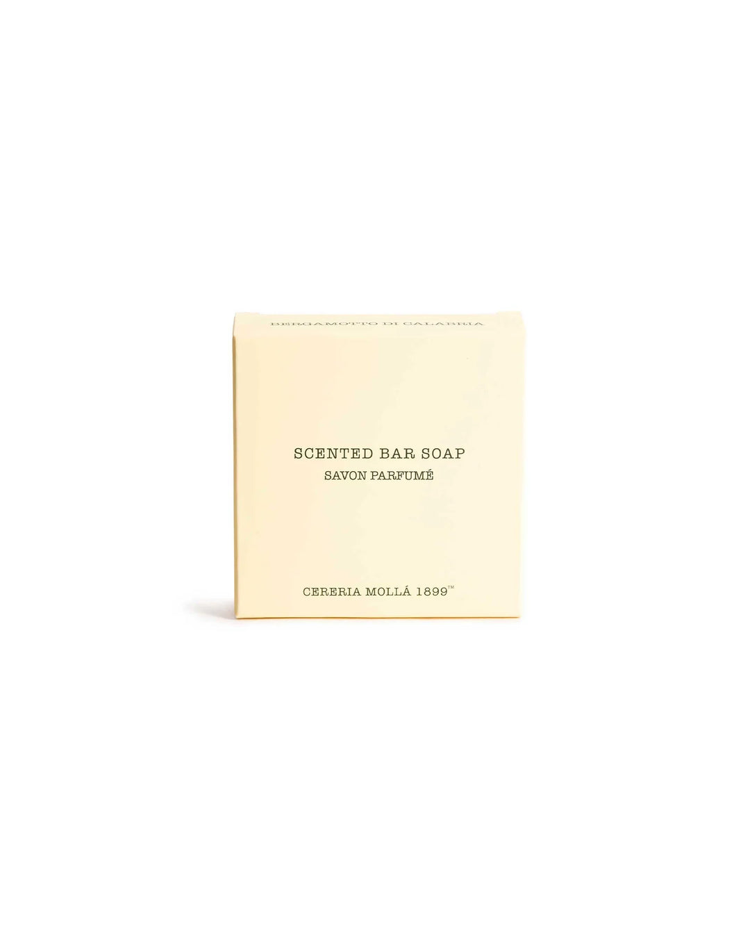 Solid Soap 100g