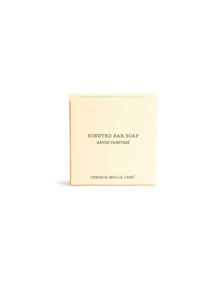 Solid Soap 100g