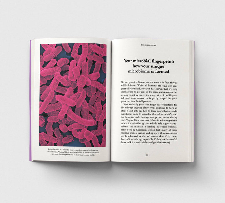 The Gut, A Pocket Primer