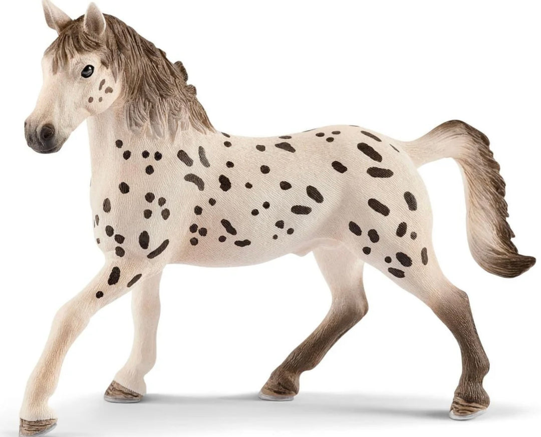 KNABSTRUPPER STALLION