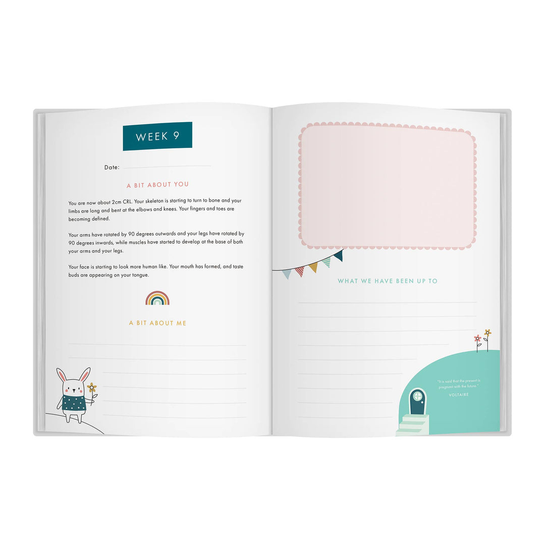 Bump to Birthday Pregnancy Journal | Pregnancy Keepsake
