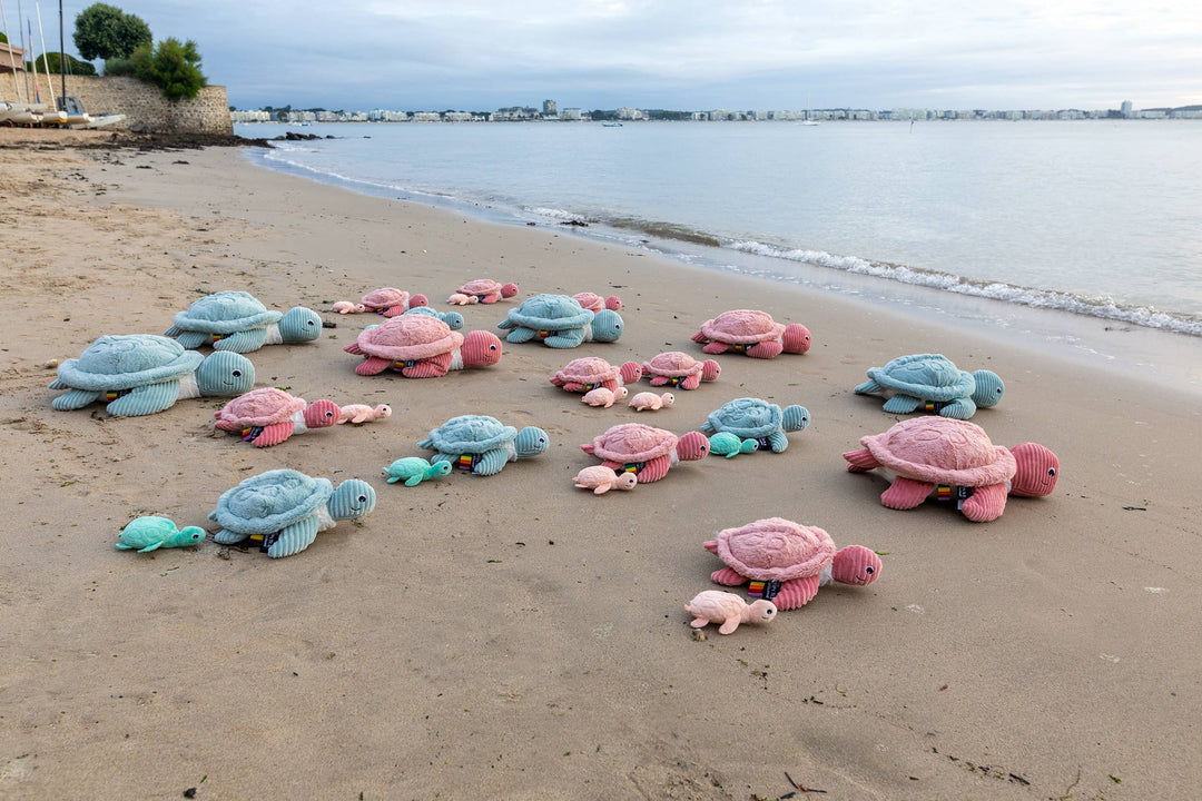 Les Ptipotos Tilly The Turtle Mum & Baby Pink