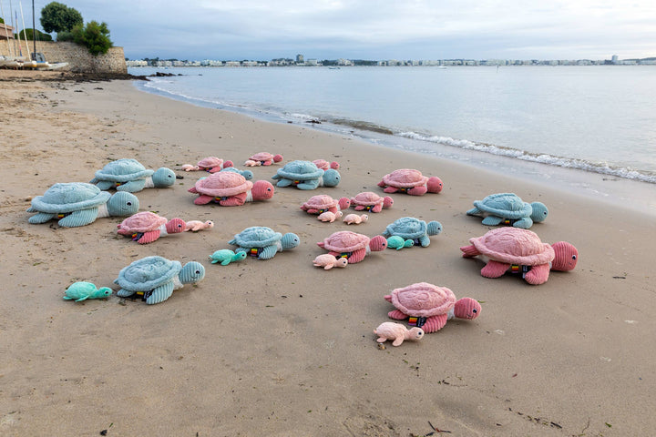 Les Ptipotos Tilly The Turtle Mum & Baby Pink