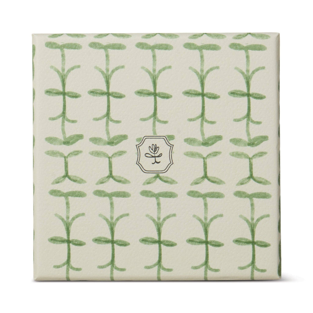 Paddywax Tulip Glass Candle - Verbena & Lemongrass