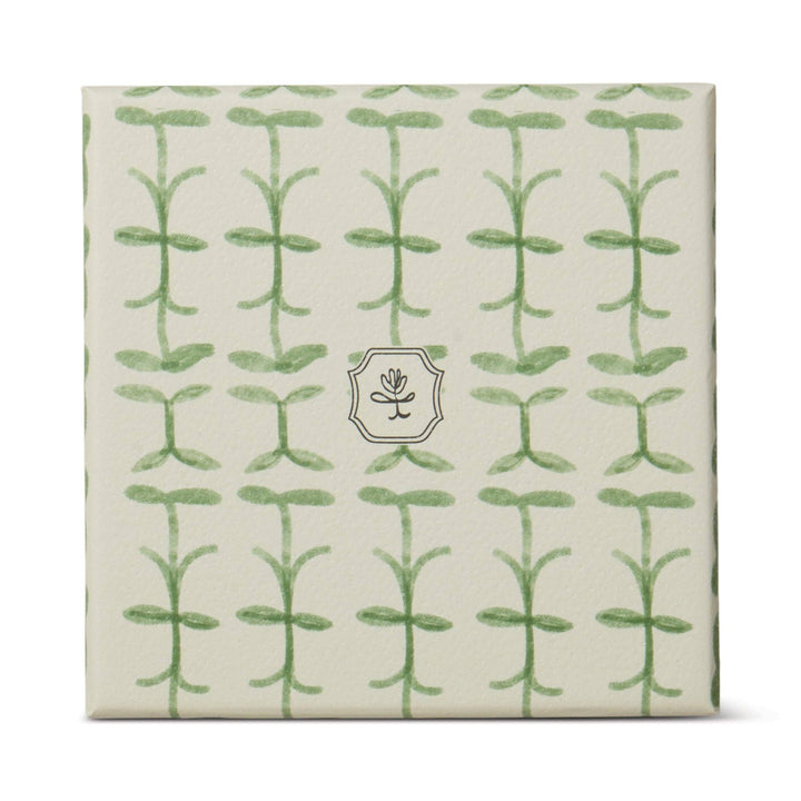 Paddywax Tulip Glass Candle - Verbena & Lemongrass