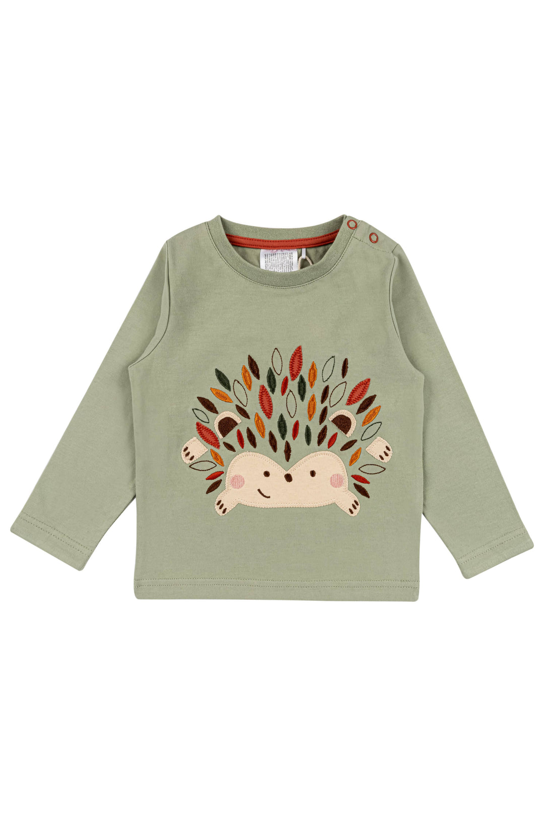 Lenny The Hedgehog