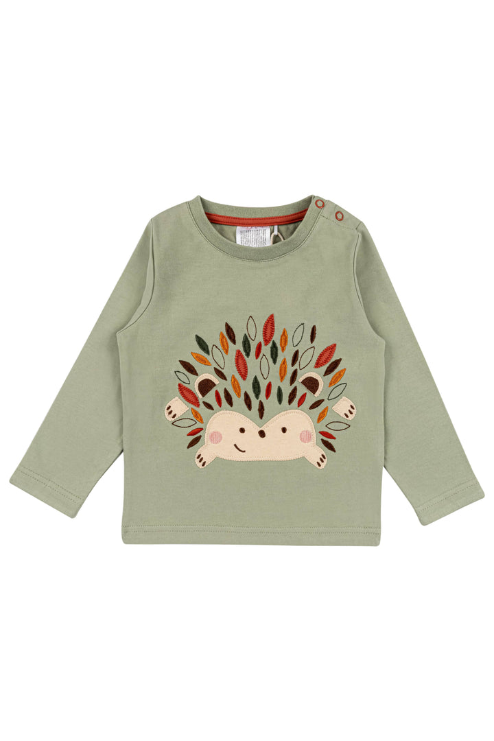 Lenny The Hedgehog