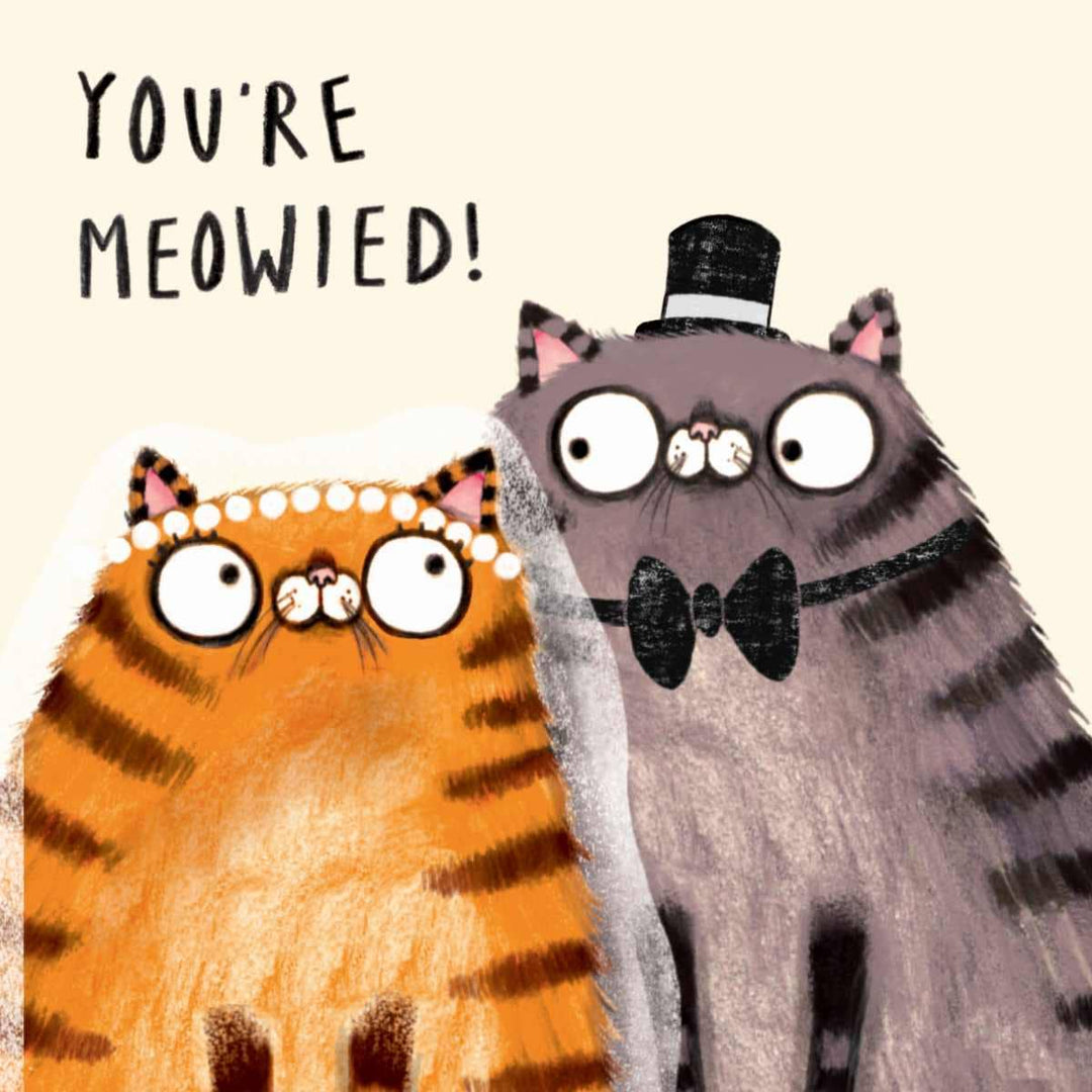 You're Married Greeting Card  | Funny Cats Wedding Card