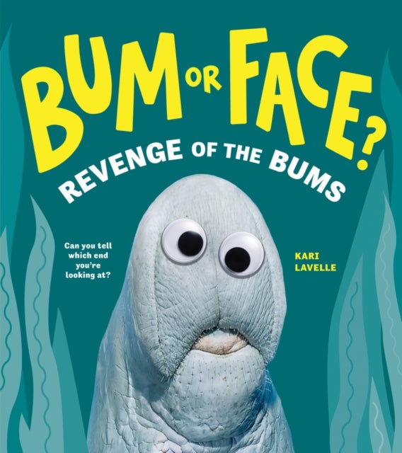 BUM OR FACE? REVENGE OF THE BUMS BOOK