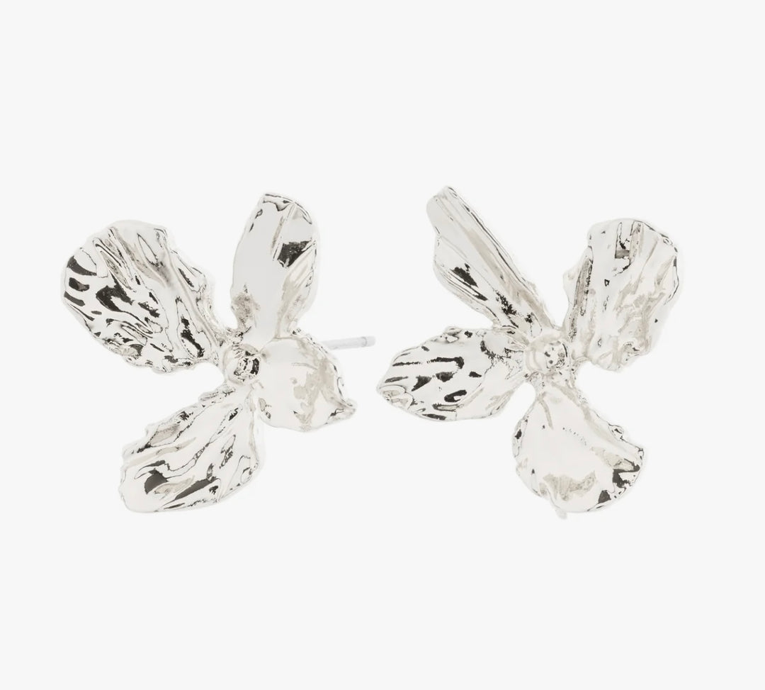 DREAM EARRINGS SILVER PLATED