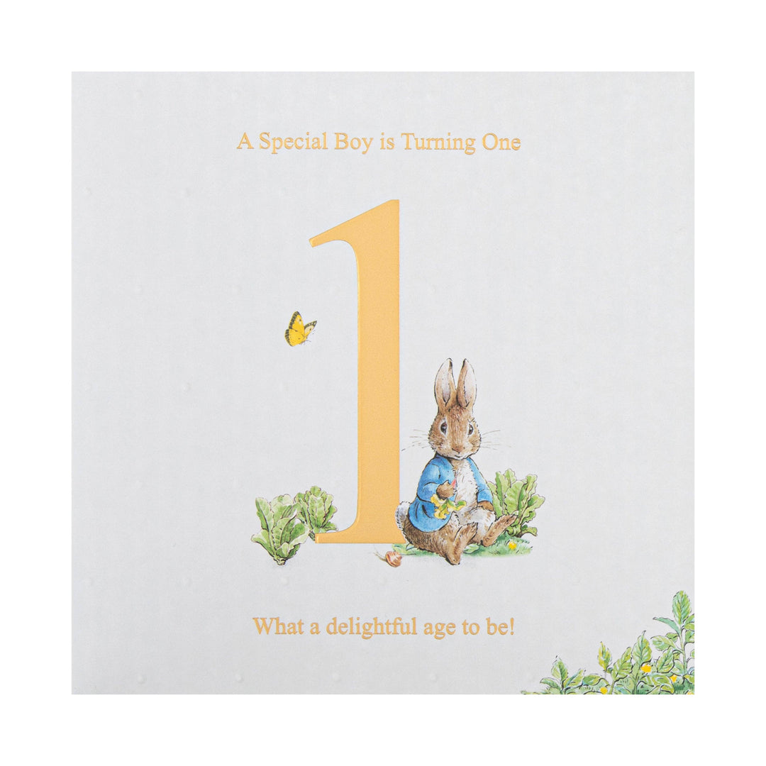 1st Birthday Card - Beatrix Potter's Peter Rabbit Design