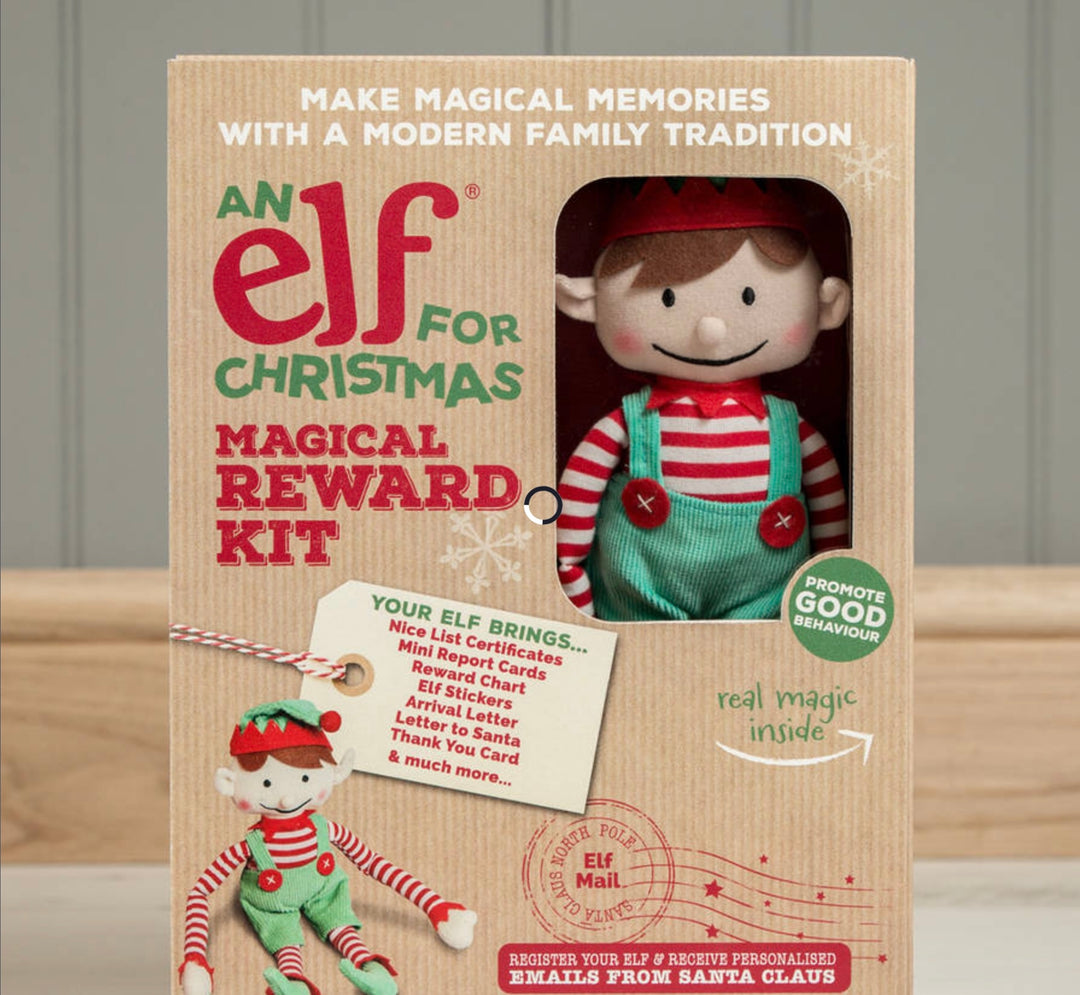 CHRISTMAS BOY ELF TOY & MAGICAL REWARD KIT