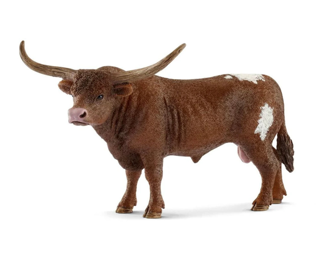 TEXAS LONGHORN BULL