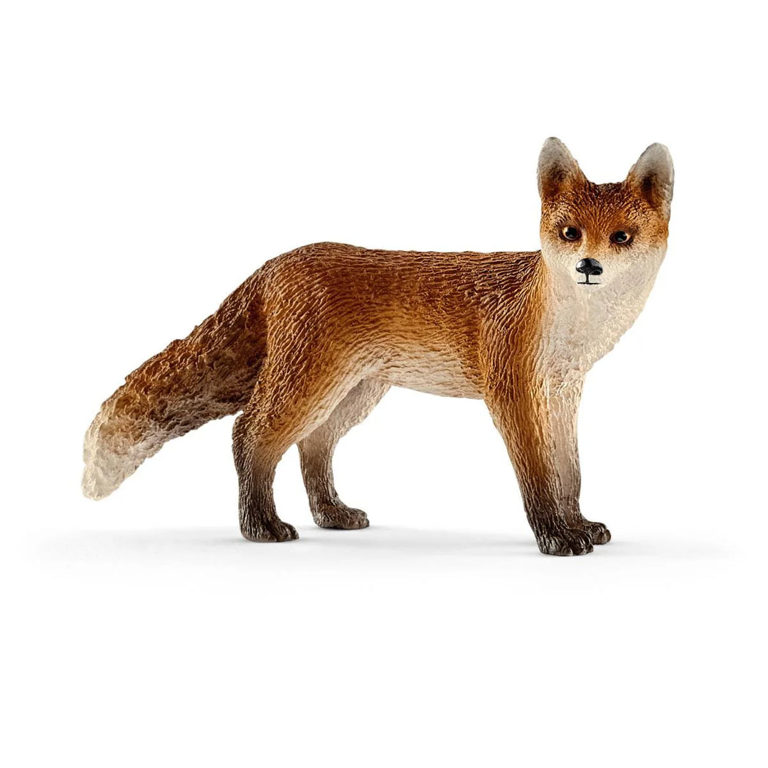 FOX