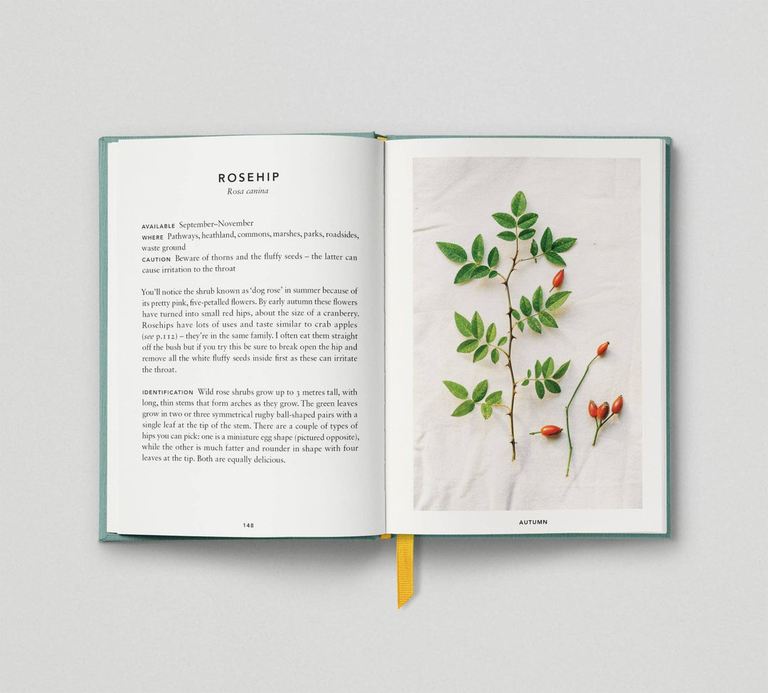 The Urban Forager