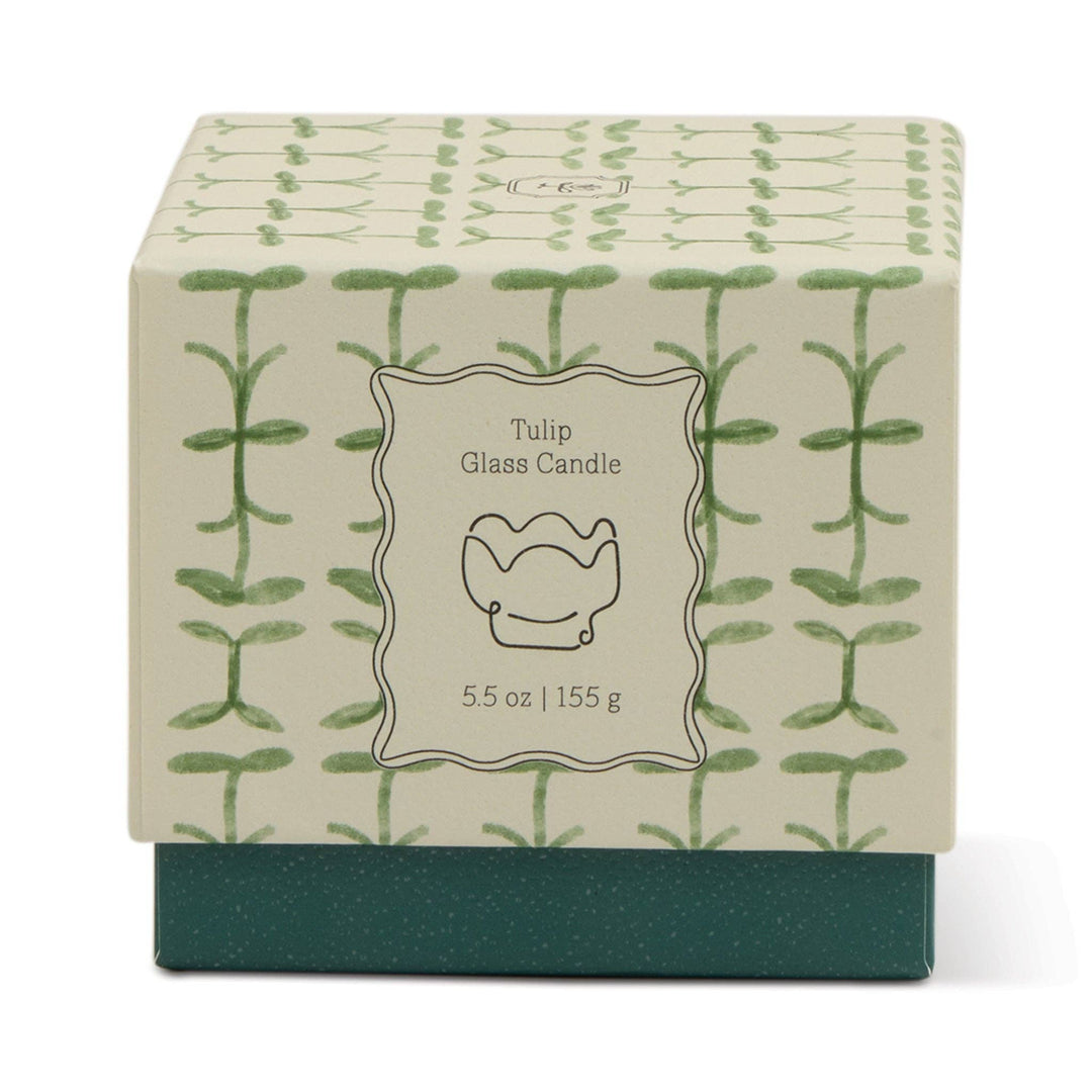 Paddywax Tulip Glass Candle - Verbena & Lemongrass