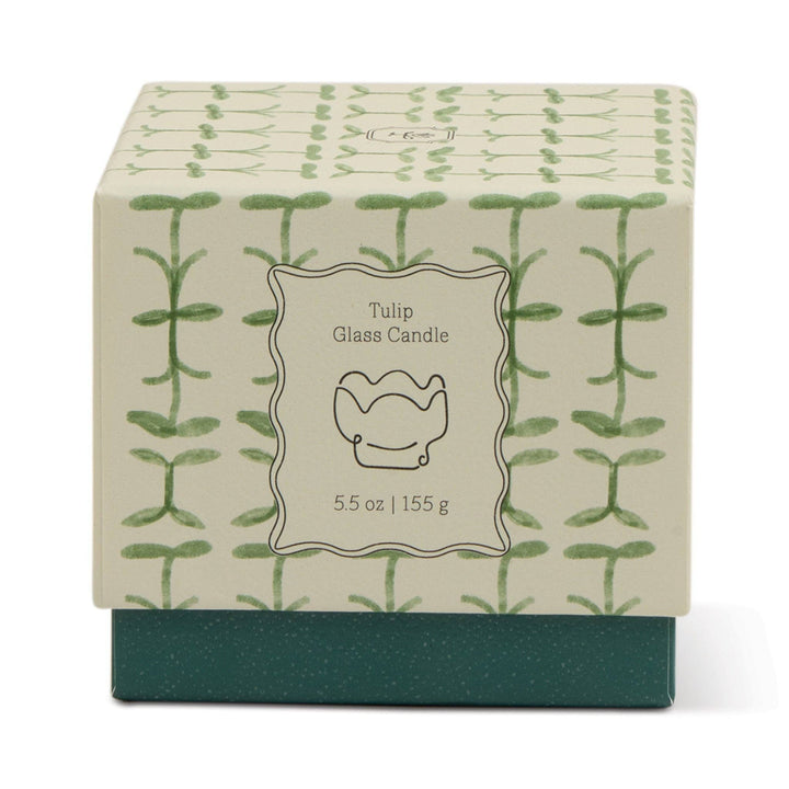 Paddywax Tulip Glass Candle - Verbena & Lemongrass