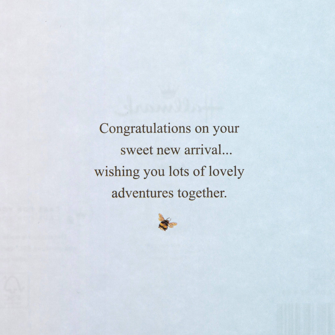 New Baby Boy Card - Beatrix Potter Peter Rabbit™ Design