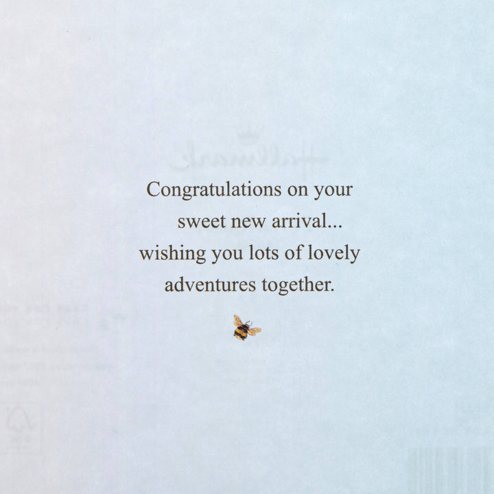 New Baby Boy Card - Beatrix Potter Peter Rabbit™ Design