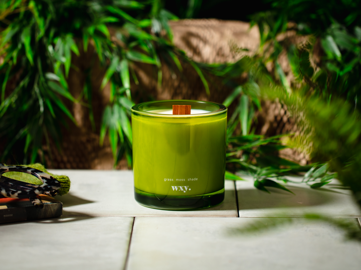 Roam. - 12.5oz candle - grass. moss. shade.