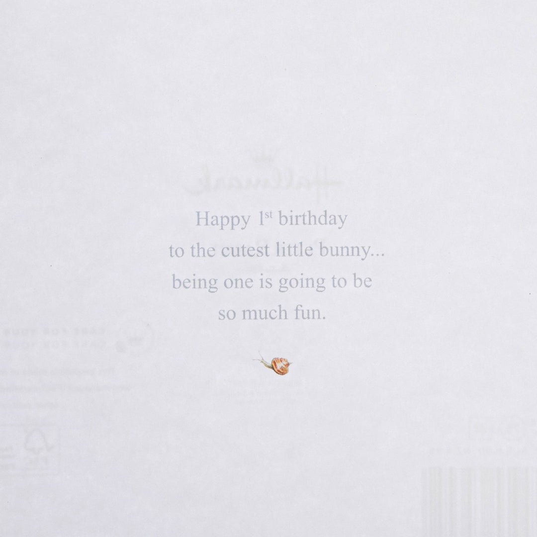 1st Birthday Card - Beatrix Potter's Peter Rabbit Design