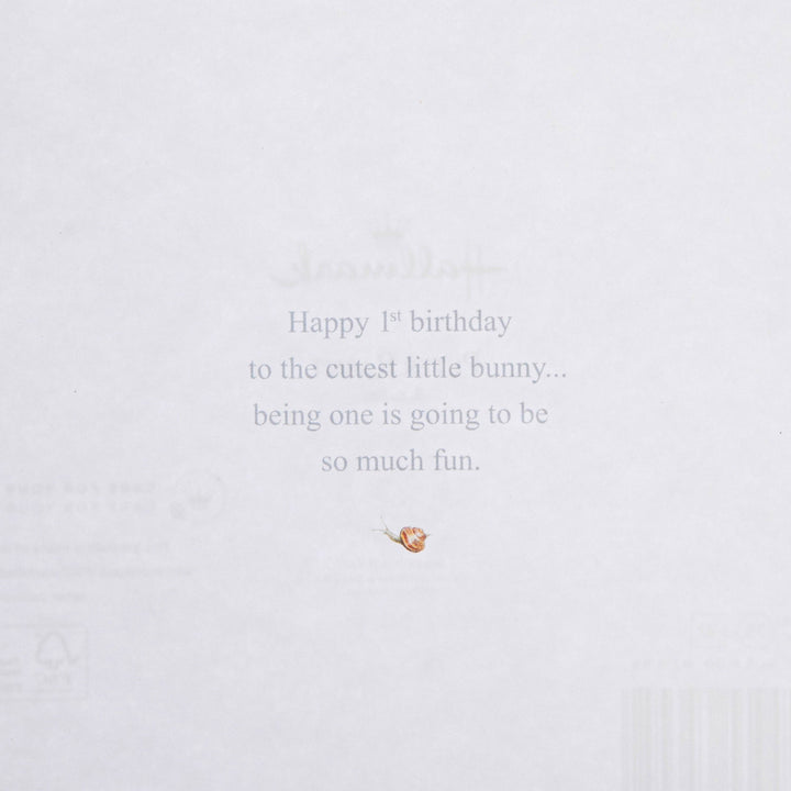 1st Birthday Card - Beatrix Potter's Peter Rabbit Design