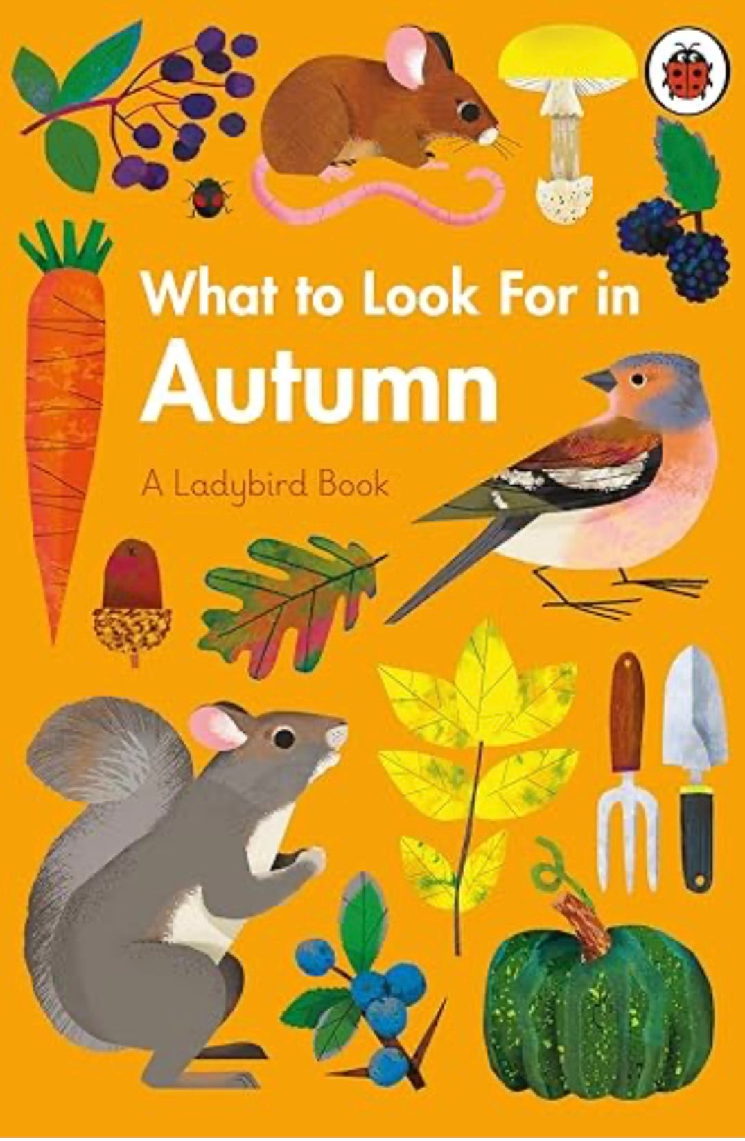 WHAT TO LOOK FOR IN AUTUMN