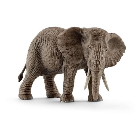 AFRICAN ELEPHANT, FEMALE