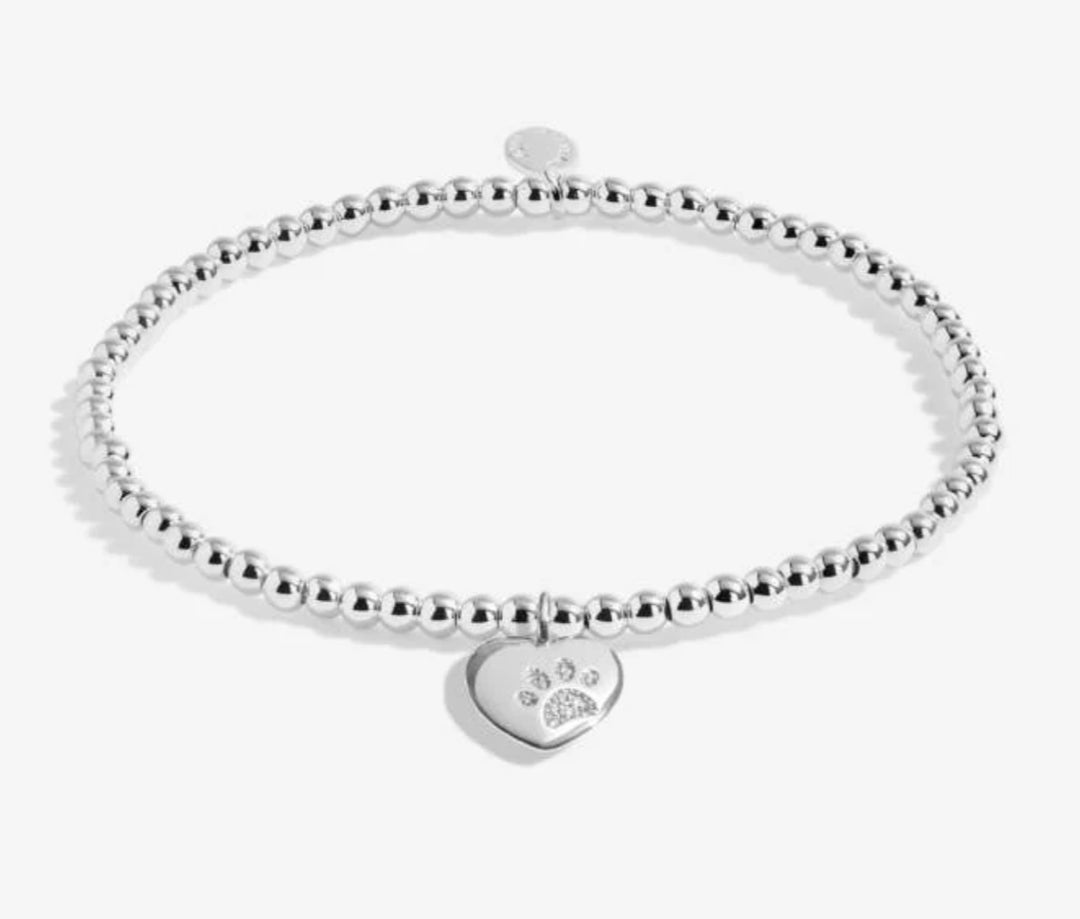 A LITTLE PETS LEAVE PAW PRINTS ON OUR HEARTS BRACELET